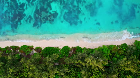 Toma-Aérea-De-Arriba-Hacia-Abajo-De-Una-Playa-Tropical