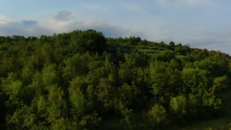 Colina-Forestal-Y-Granja-De-árboles-Frutales-Cerca-De-La-Represa-De-Agua-Del-Lago-Butoniga-En-La-Península-De-Croacia-Istria,-Toma-Aérea-De-Drones