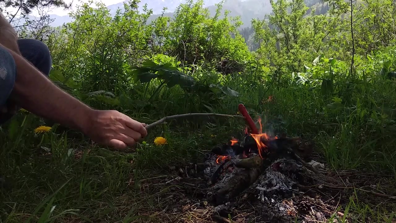 Pølse som grilles over bål mens man vandrer i fjellet om sommeren på en lys sommerdag. En mann som lager snacks på et lite bål. Sidebilde.