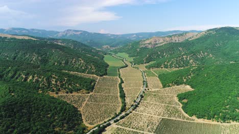 aerial view of vineyards in a mountain valley