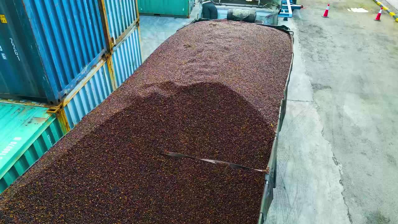 Close up of Palm kernel oil powder material loaded on a heavy-duty truck with cargo containers surroundings in a refinery oil factory, Malaysia