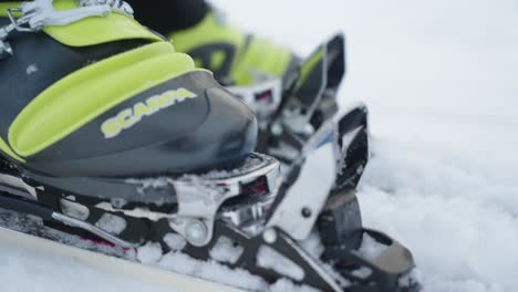 primer plano de la bota de esquí de telemark que se conecta y se conecta al esquí de forma segura en la nieve