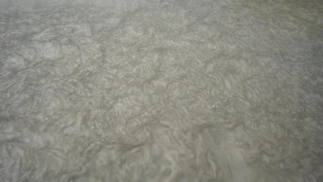 pase de palo de madera en el marco y mueve el agua en un charco fangoso gris, tiro superior