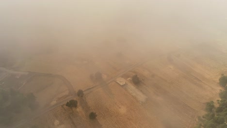 空中頂部向下和前景透過一片霧霾的田野