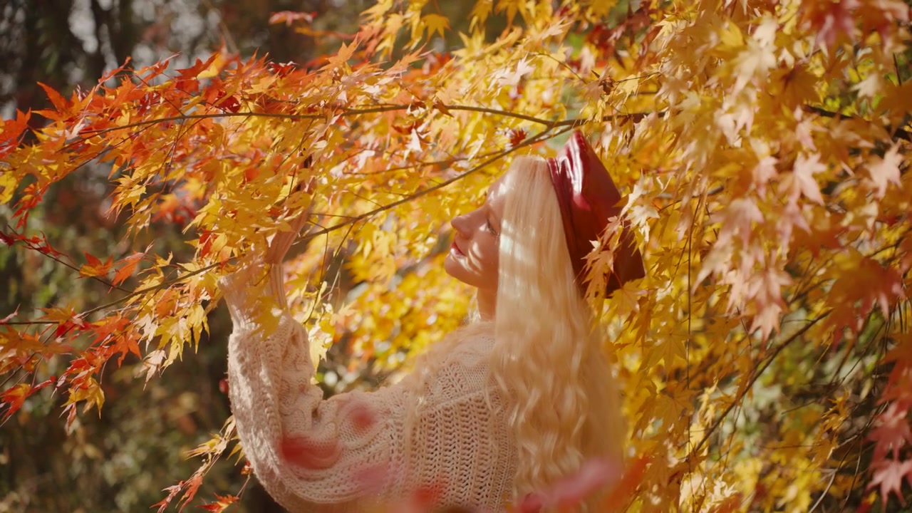 Blonde Frau in gemütlicher Kleidung geht unter herbstlichen japanischen Ahornbäumen im Yangjae Forest Park, Zeitlupe, Rückansicht, mittlere statische Aufnahme