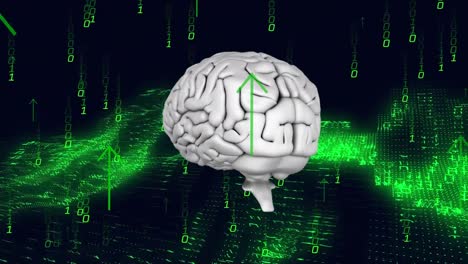 Animation-of-data-processing-over-binary-coding-and-human-brain