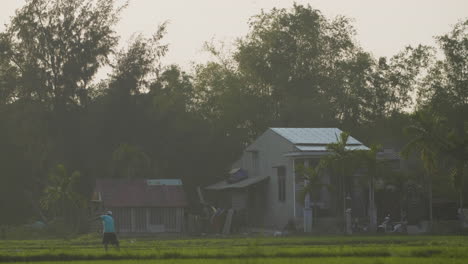 a farmer works the fields in front of his traditional countryside vietnamese house