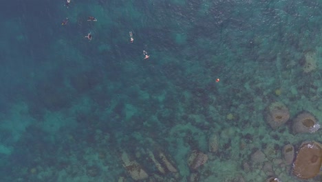 snorkeling in coral bay - dive into the vibrant underwater world!