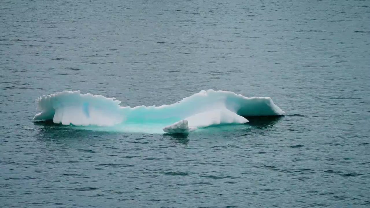 Lastre di ghiaccio che galleggiano nella baia in Antartide. Primo piano.