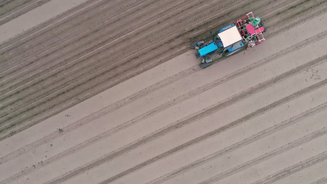 에 관개 시스템의 설치. 에서 일하는 트랙터의 공중 영상. 당근을 심는