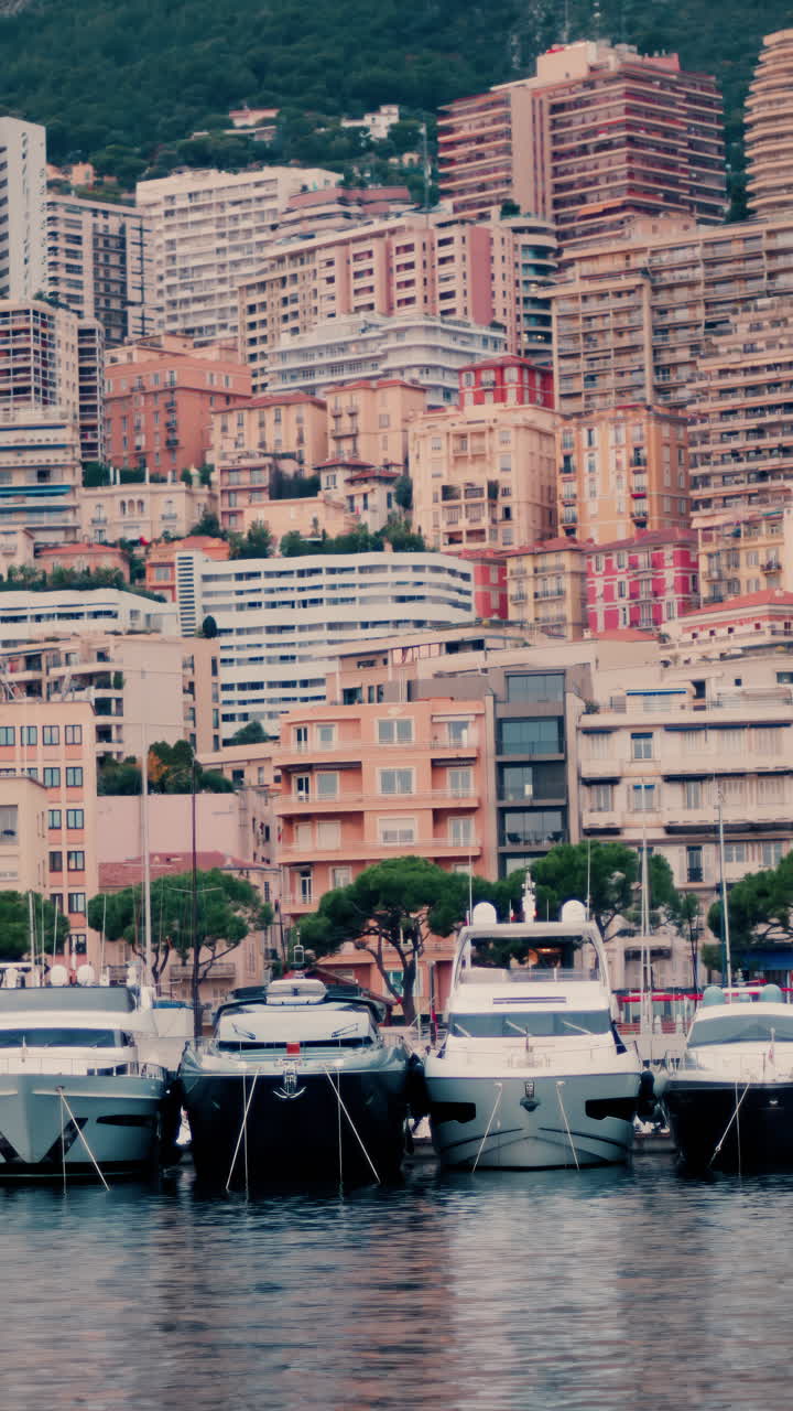View of boats docked in the Monaco Marina with the skyline of the city on the background. Vertical