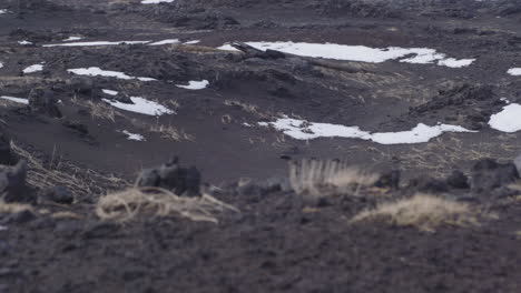 Este-Material-De-Archivo-Muestra-La-Belleza-Surrealista-De-Las-Playas-De-Arena-Negra-De-Islandia