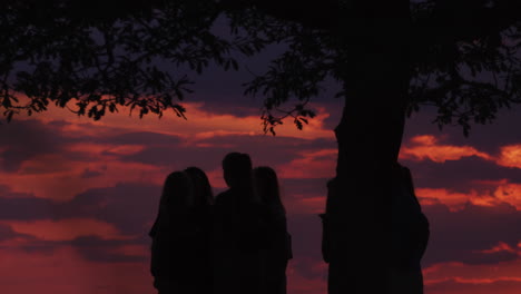 a group of female friends hang out near a large tree after sunset on a warm summers evening in scandinavia