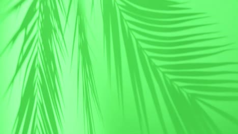 tropical palm tree leaves against green background. vertical