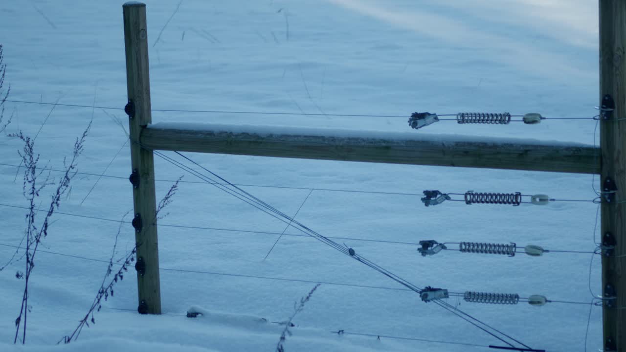 Cancello di un recinto con neve sul campo