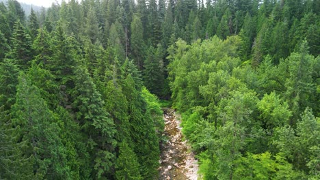 Aerial-ascent-of-creek-bed-and-forest,-Vancouver,-BC,-Canada