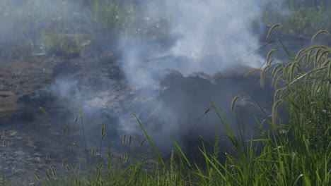 El-Humo-Se-Eleva-De-Un-Fuego-Sin-Llama