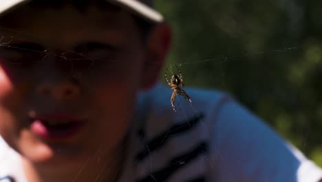 boy looking at a spider on a web