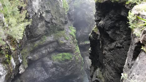 drone footage in a wet canyon with jungle trees in the cirque of mafate at the reunion island