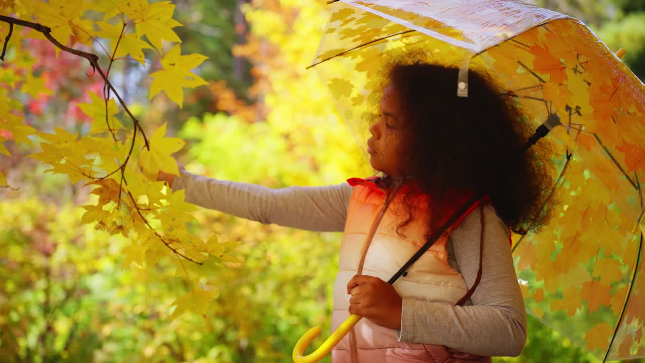 Menina com guarda-chuva tocando folhas amarelas de outono no parque