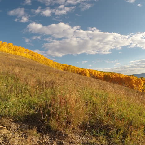 Schöner-Herbsttag-In-Colorado