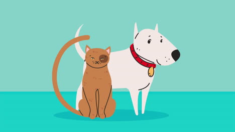 cat and dog mascots animation