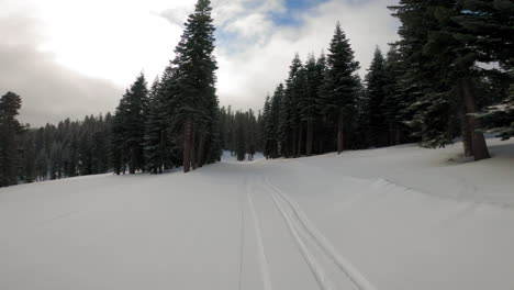 skiing down a cat trail in lake tahoe