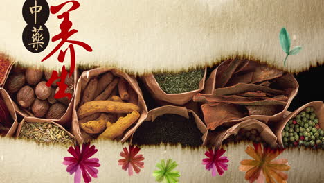 día antiguo tradicional chino paisaje japonés pintura de tinta de la hermosa calma original de la medicina plantilla de salud