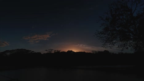 Asombrosa-Puesta-De-Sol-Sobre-Un-Lago-Con-Pájaros-Durmiendo-En-Los-árboles-Por-La-Noche