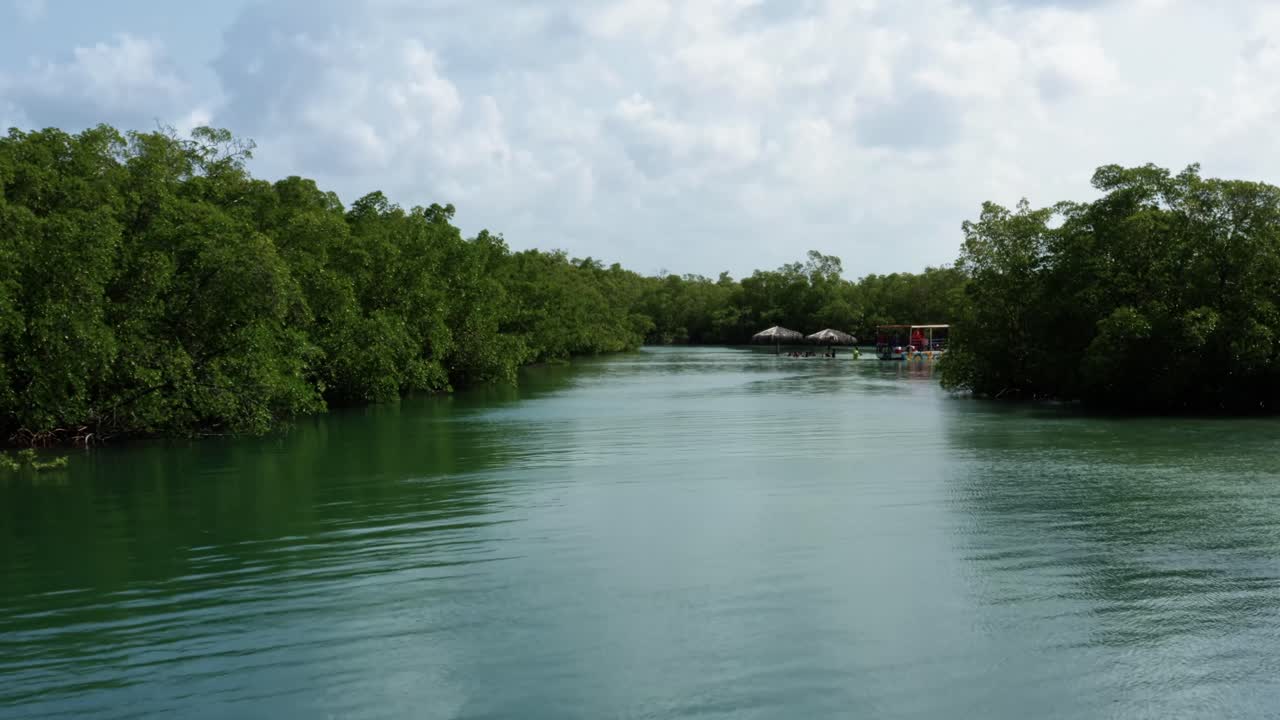 dolly out incline hacia arriba la toma aérea de drones de una pequeña piscina turquesa natural aislada con una ramificación de paraguas de paja desde el río curimataú cerca de barra de cunhaú en río grande do norte, brasil