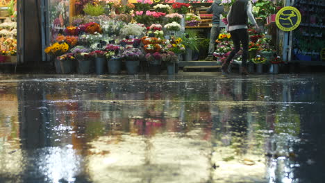 rainy day in front of a florist water reflection in the floor montpellier france