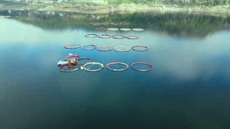 vista aérea sobre una granja de peces con muchos recintos de peces en jaulas