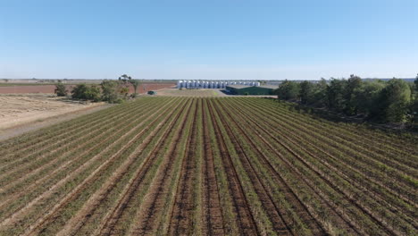 drone shot vineyards in griffith, nsw australia