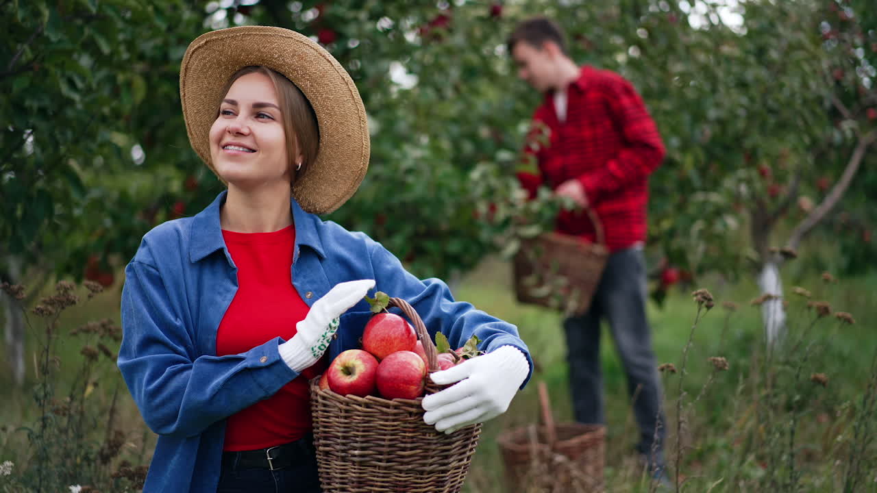 Resilient smiling lady in hat holding a basket of red apples. Male in red shirt at backdrop picking fruit from trees in blur.