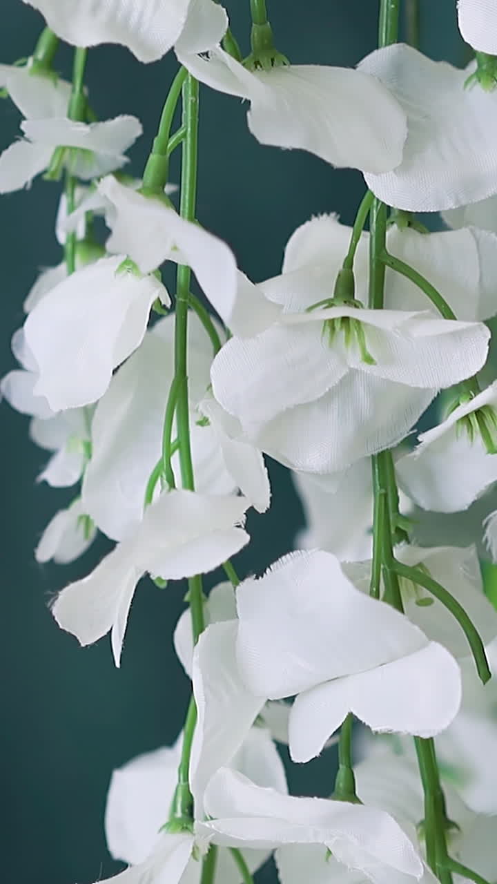 Close-up of beautiful artificial white wisteria