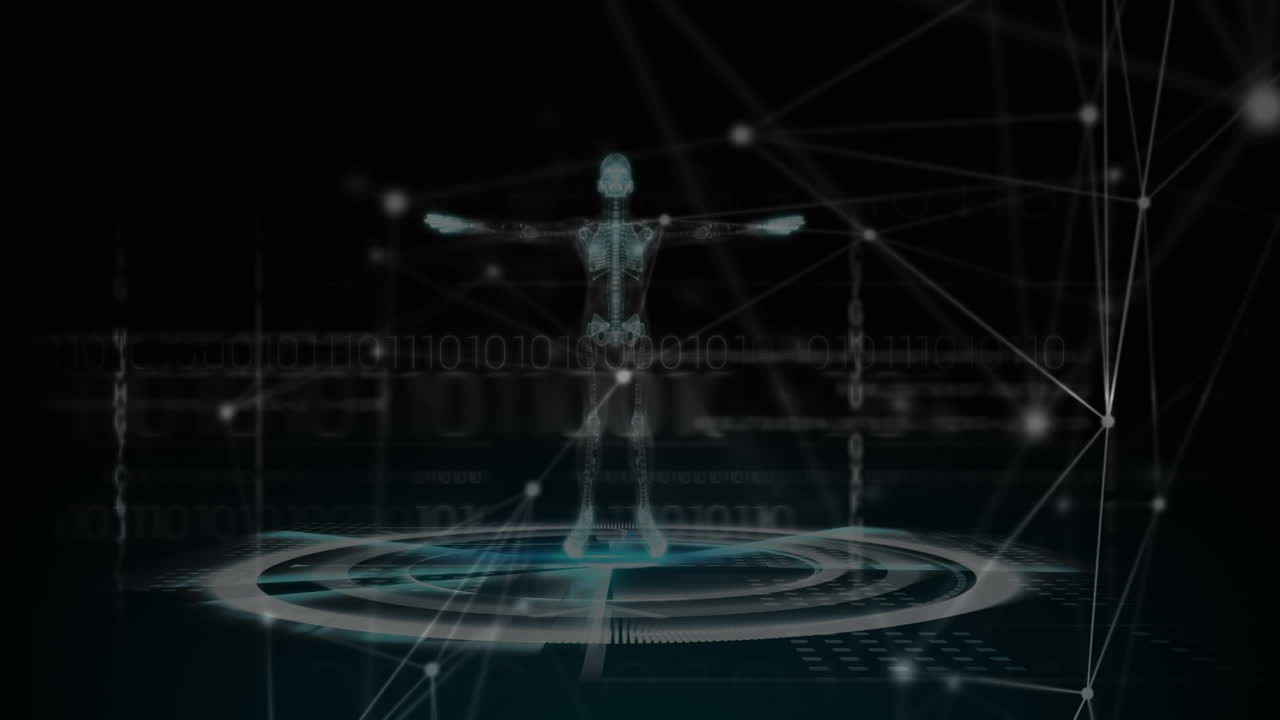 데이터 프로세싱을 통한 연결 네트워크의 애니메이션