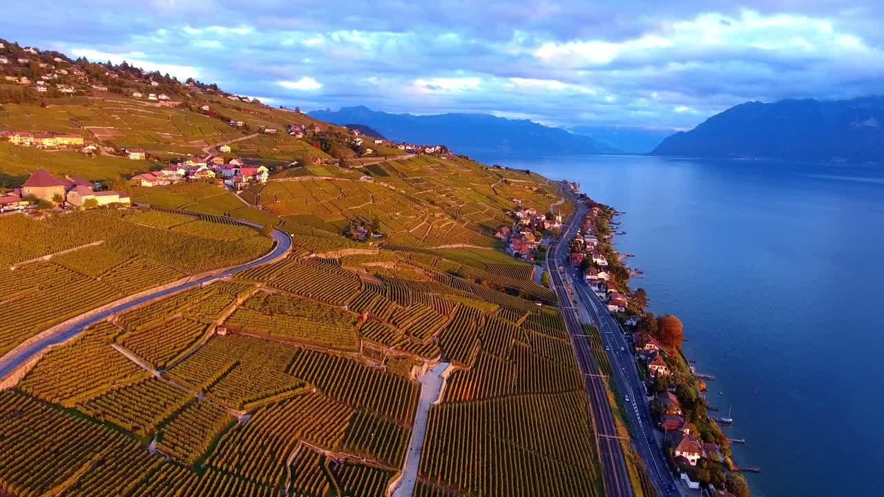 Colori autunnali arancioni sul vigneto di Lavaux, Svizzera, al tramonto, con il Lago Lemano e le Alpi sullo sfondo