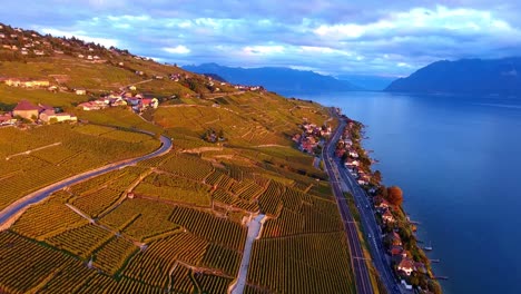 Orangefarbene-Herbstfarben-über-Dem-Weinberg-Lavaux,-Die-Schweiz-Bei-Sonnenuntergang-Am-Genfersee-Und-Die-Alpen-Im-Hintergrund