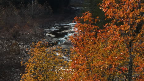 scenic autumn forest and river in cedar flats, arkansas, usa