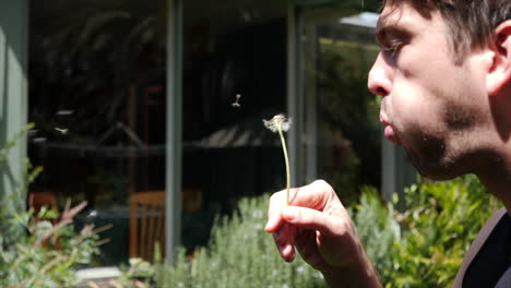 Slow-mo-of-Dandelion-being-blown