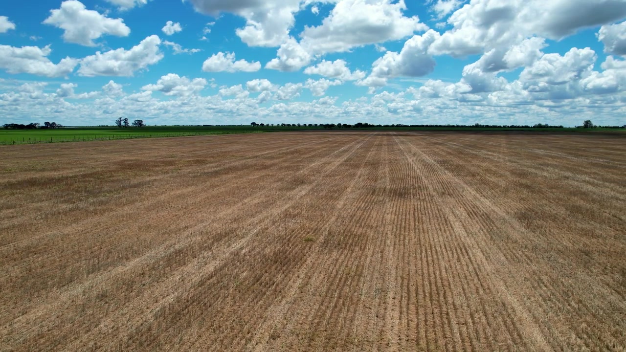 Drohnenbewegung von links nach rechts über trockenes, abgeerntetes Land, das Sojabohnenstoppelfurchen und Reifenspuren von Maschinen unter einem blauen Himmel mit weißen Wolken in der fruchtbaren argentinischen Pampa zeigt
