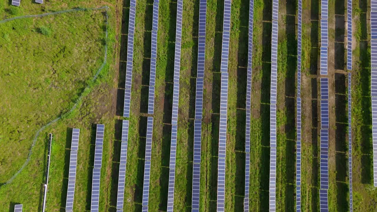 Rows Of Panels On A Solar Farm, Infrastructure Producing Sustainable Energy. Aerial Flyover.