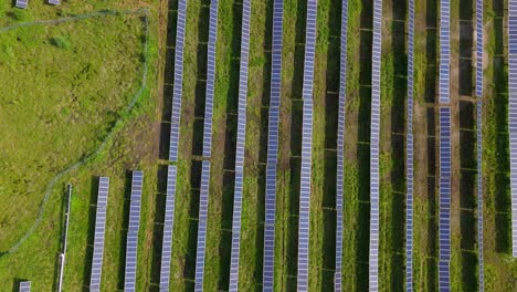 rows of panels on a solar farm, infrastructure producing sustainable energy. aerial flyover.