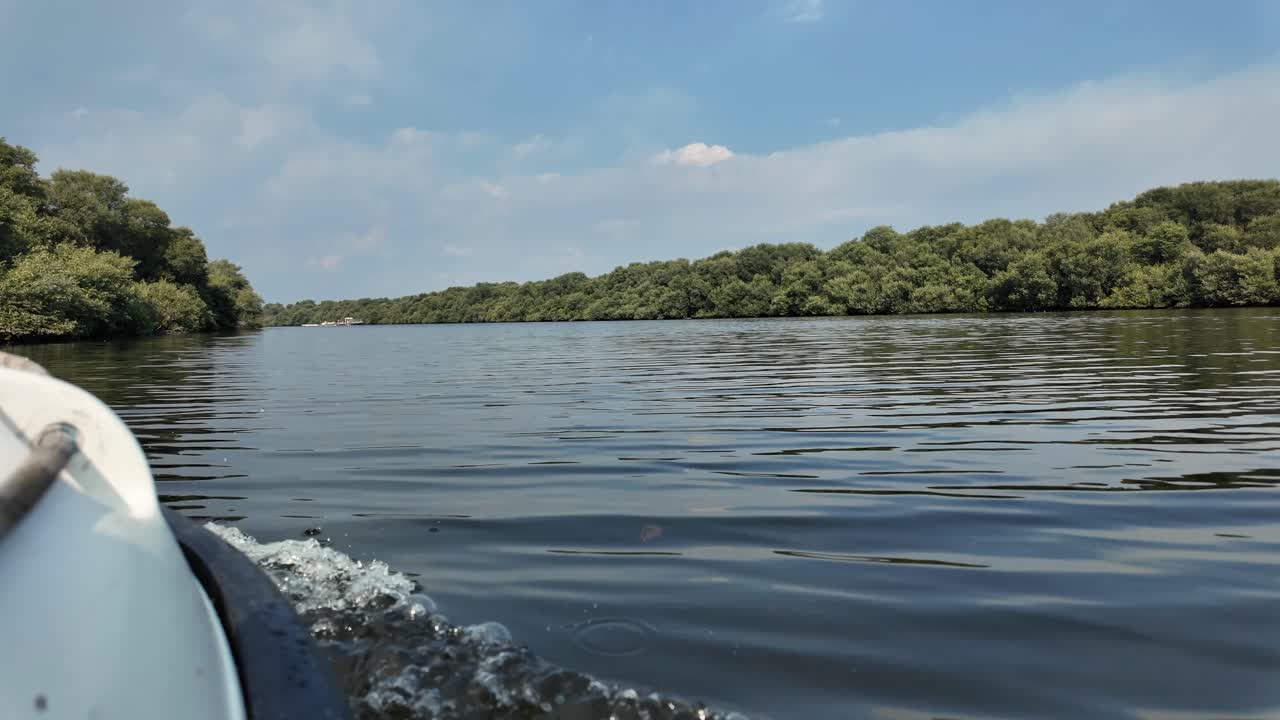 A tranquil view of Al Zorah Mangrove in Ajman, UAE, highlighting its lush greenery and diverse wildlife