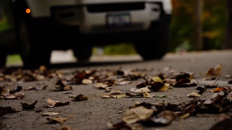 landrover defender driving past leaves on the road