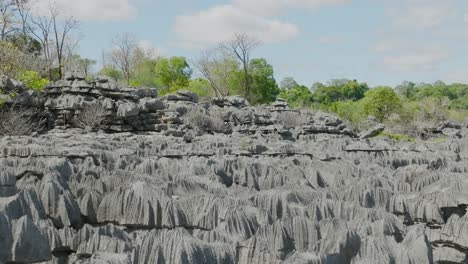 fly next to stones with trees in tsingy - madagascar