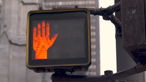 walk signal turning from "stop" to "walk" in midtown manhattan, nyc, u