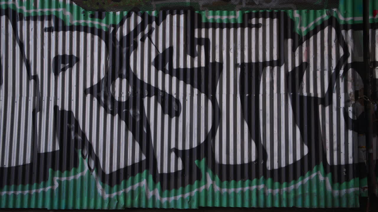 fotografía de moda al aire libre de una mujer joven de estilo alternativo caminando más allá de los graffitis en la calle de la ciudad de londres, reino unido, en tiempo real.