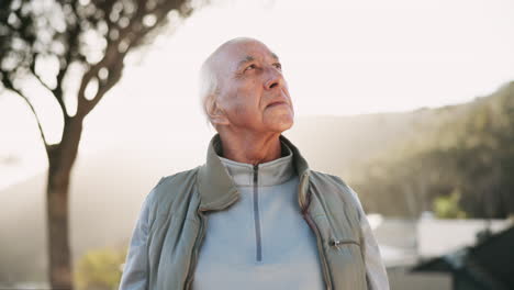 portrait of an elderly man in nature