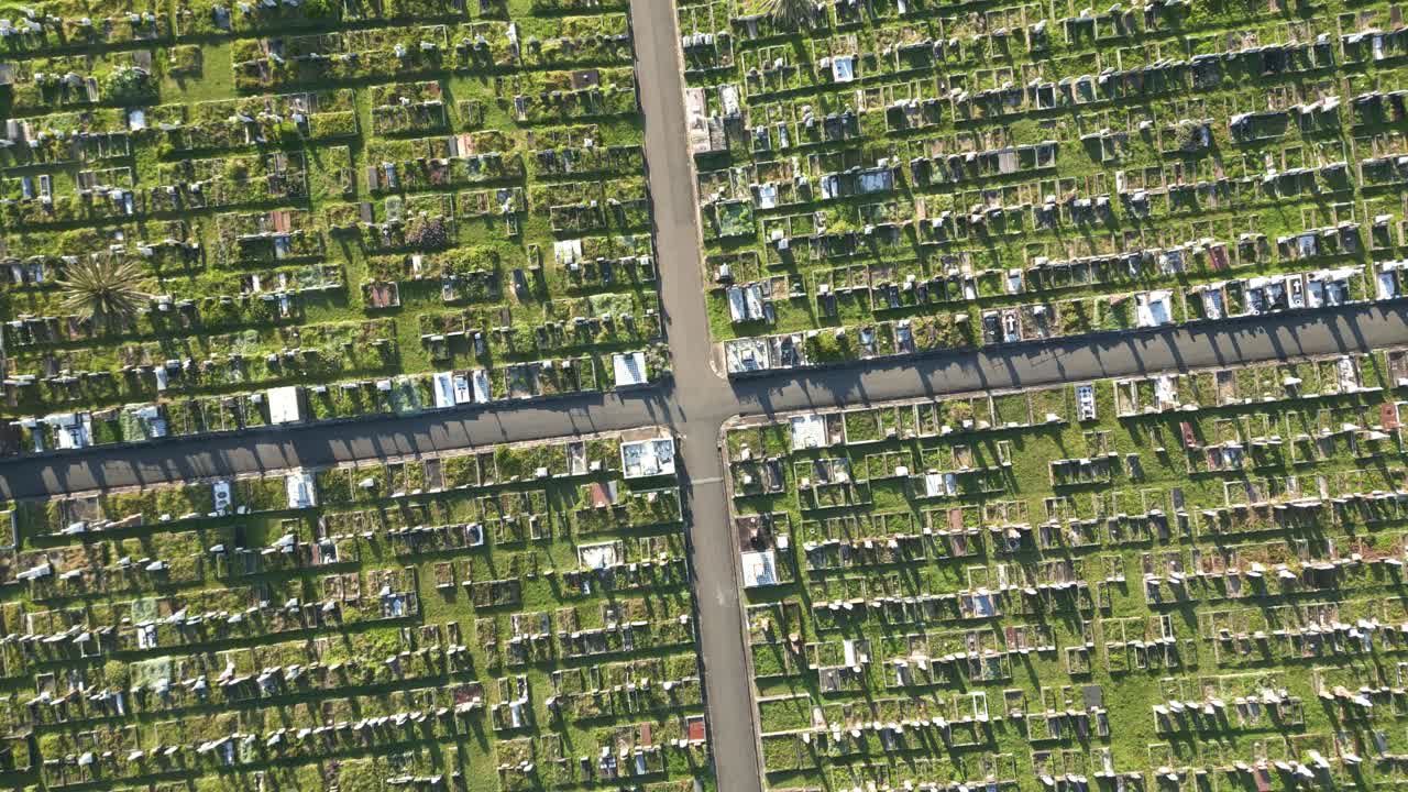 그리드 레이아웃이 있는 큰 묘지의 무덤